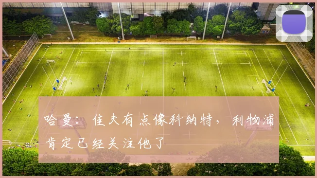 哈曼：佳夫有点像科纳特，利物浦肯定已经关注他了